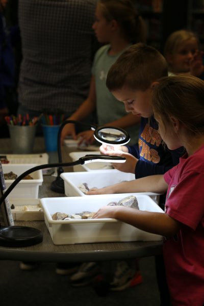 Students exploring rocks, minerals, and shells.