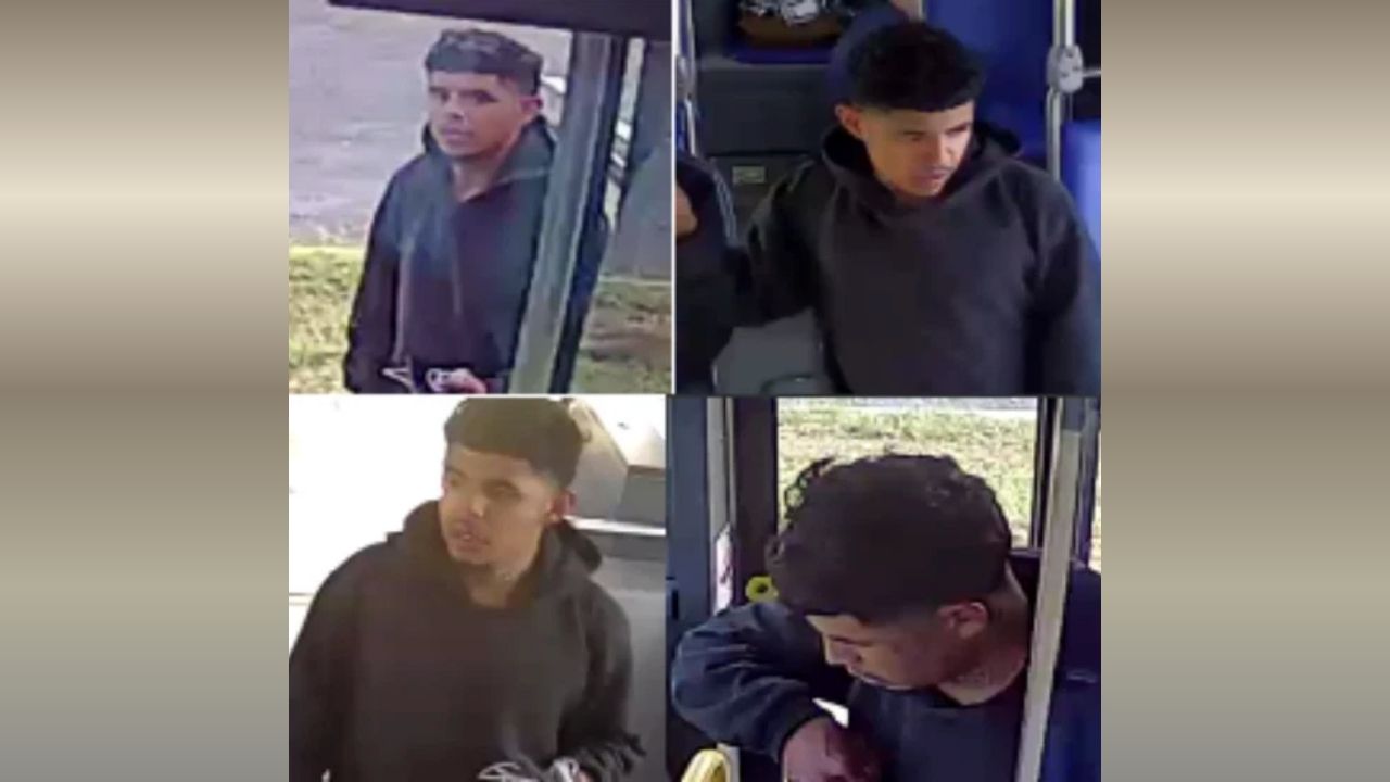 Armed Robbery on San Antonio’s North Side: Police Search for Suspect Who Escaped on VIA Bus