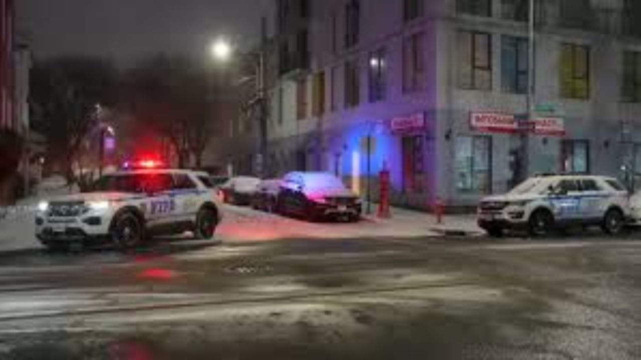 Brooklyn Infant Found Dead in Duffel Bag; Mother Arrested After Wellness Check