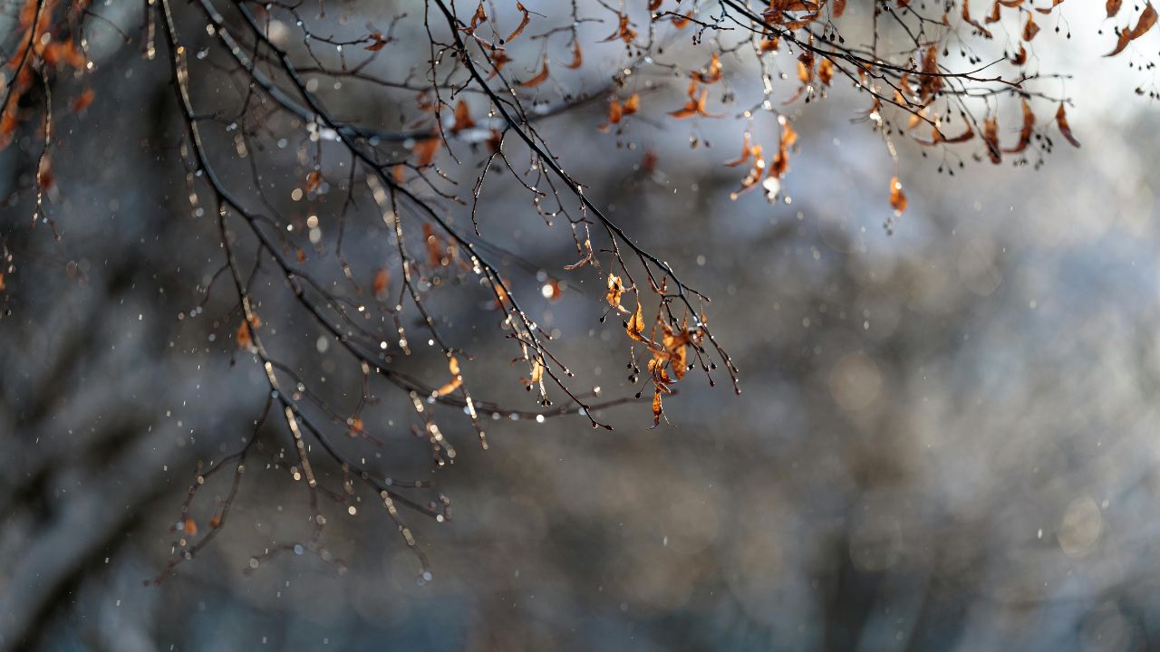 Iowa–Illinois Weather Alert: January Warmth Fades as Cold Snap and Snow Threat Build in the Quad Cities