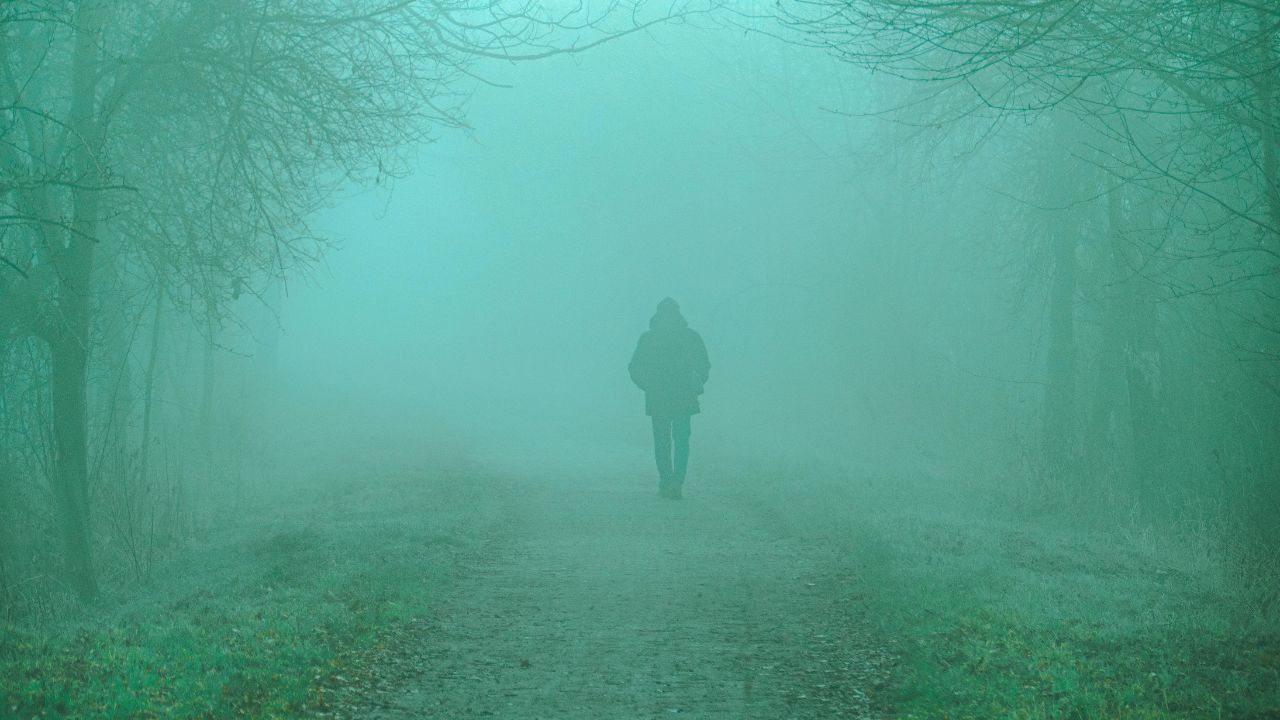 Nashville Weather Update: Dense Morning Fog Causes Hazardous Driving Conditions Across Middle Tennessee