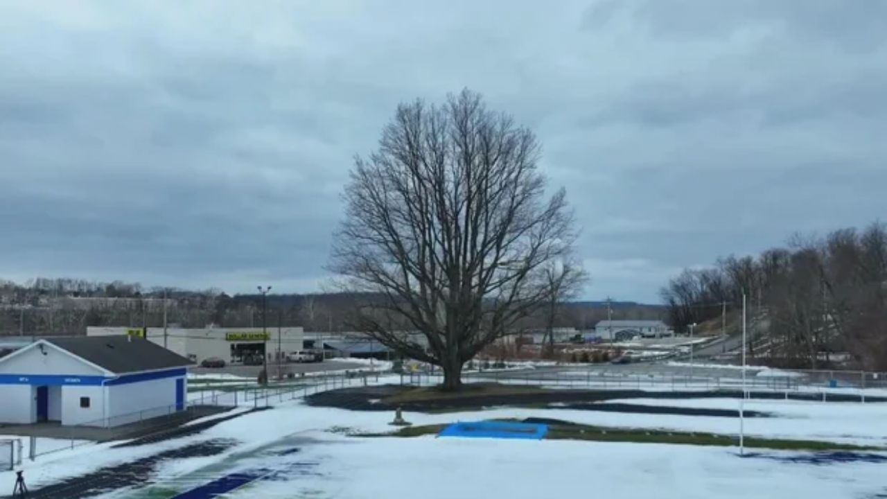 90-Year-Old Olympic Oak in Connellsville Honors Gold Medalist John Woodruff’s 1936 Berlin Triumph