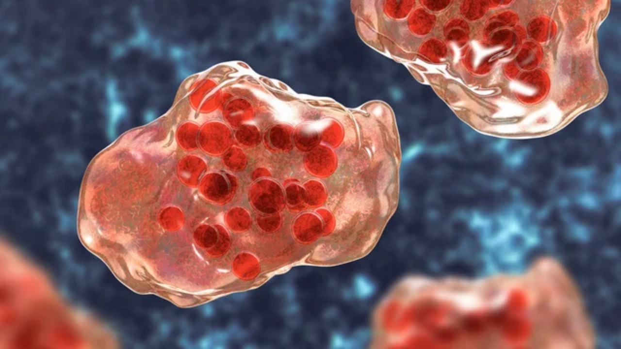 Measles Exposure Reported at Philadelphia International Airport Terminal E, Health Officials Urge Vaccination