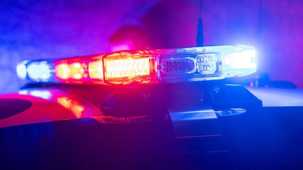 South Carolina Manhunt After Deputy’s Patrol Car Rammed During Chase; Five Arrested on Gun and Drug Charges