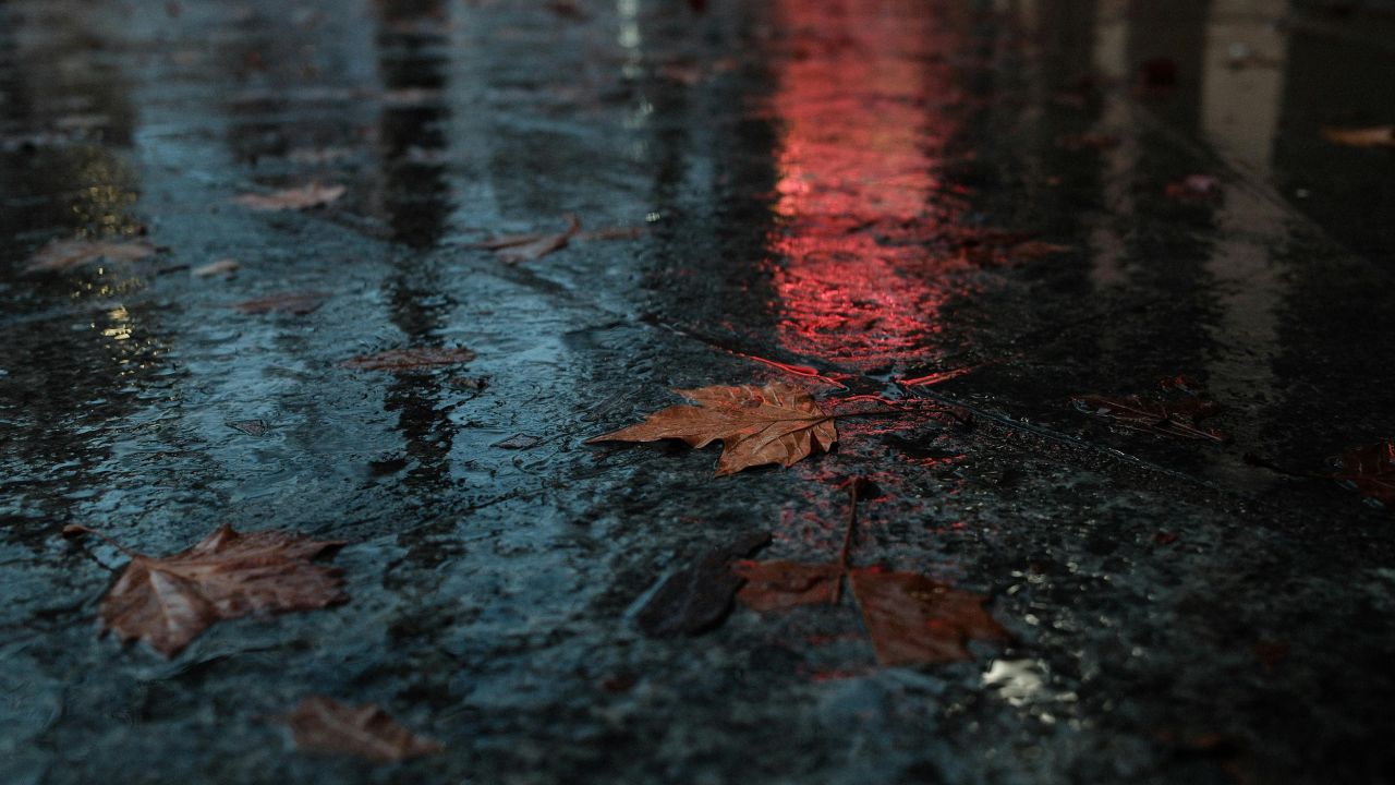 Texas Weather Alert: San Antonio Warms to 82°F by Friday as Valentine’s Weekend Showers Move In