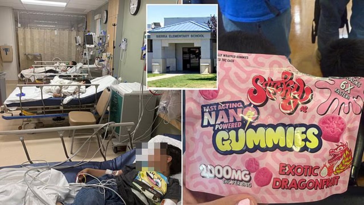 3 Elementary Students Hospitalized After California Teacher Allegedly Handed Out Cannabis Gummies