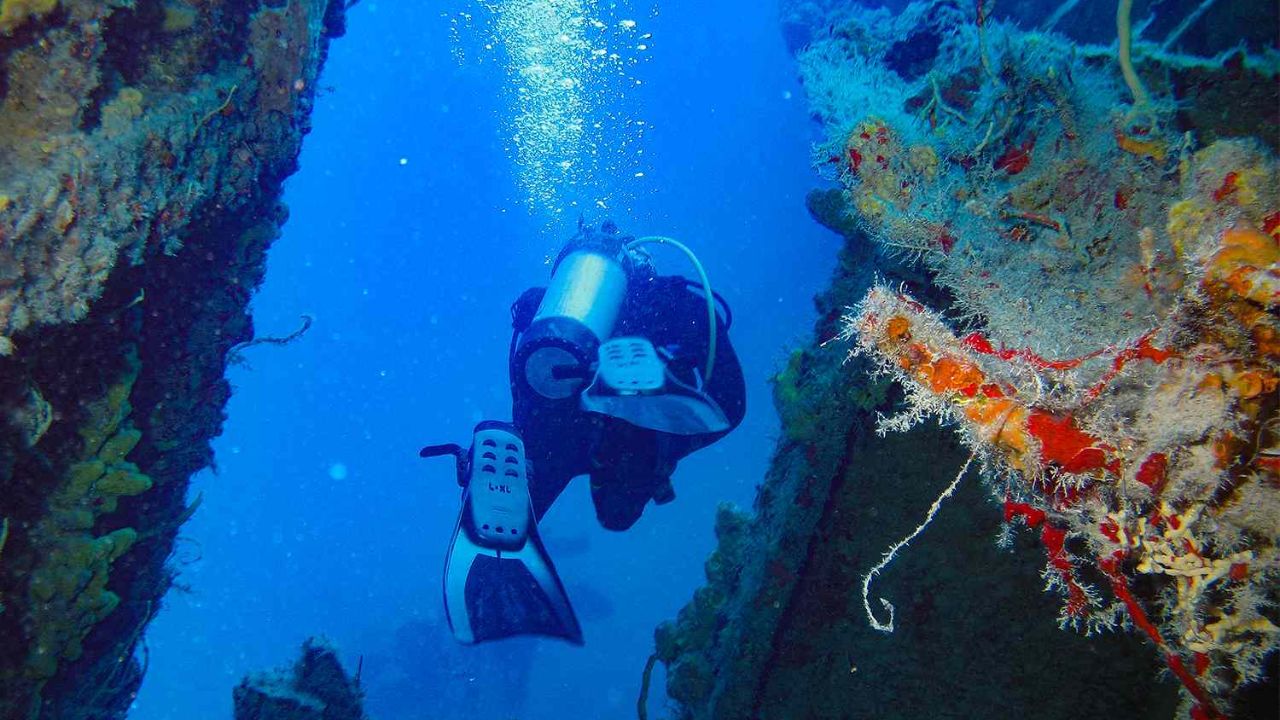 71-Year-Old Diver Found Dead Near Florida Shipwreck After Deep-Sea Dive in Islamorada