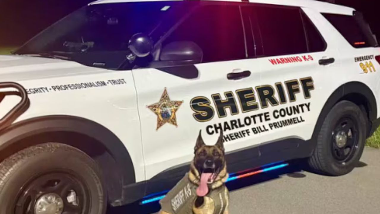 Florida Woman Arrested After Allegedly Stabbing Roommate and Driving Victim’s Truck to Sarasota