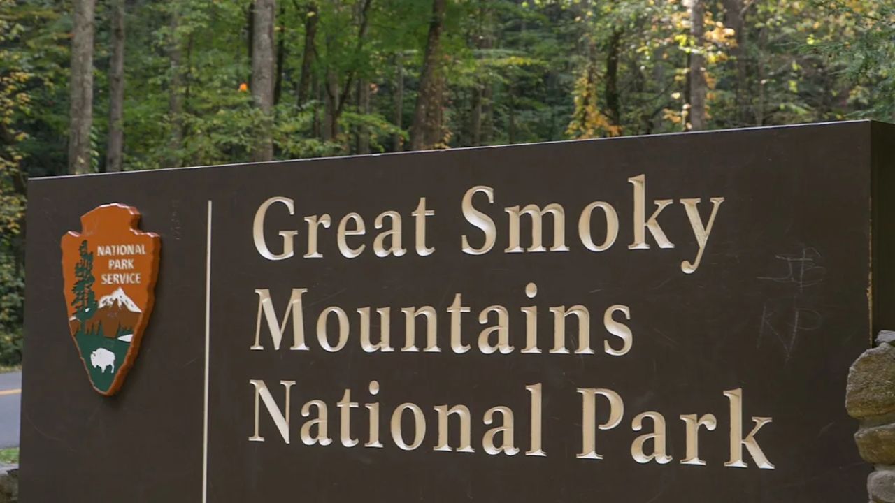 Tragedy in the Smokies: 65-Year-Old Woman Dies After 60-Foot Fall on Popular Hiking Trail