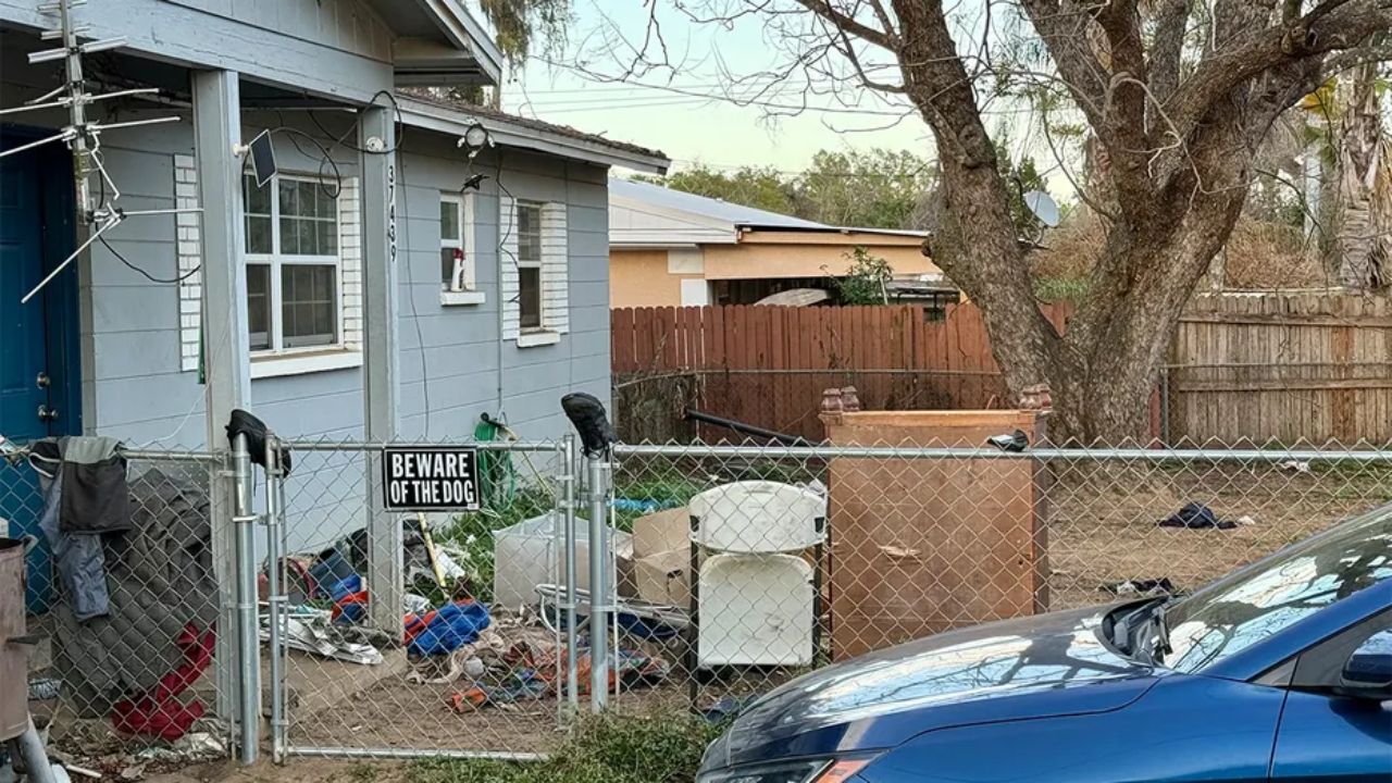 ‘It Was Terrifying’ Woman Critically Injured After Attack by 7 Dogs in Florida Neighborhood