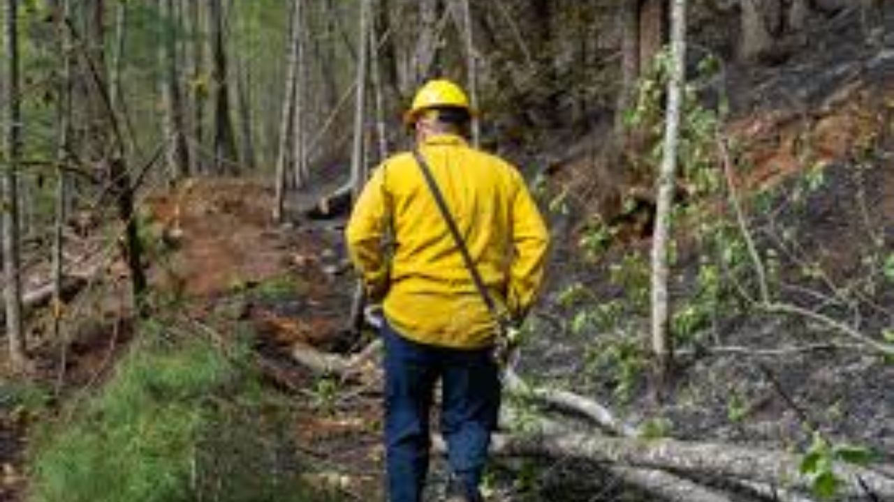 Buzzard Mountain Wildfire Arson Investigation Underway as Blaze Scorches 30 Acres in White County