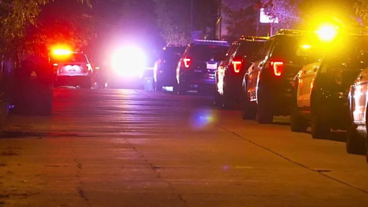 Daughter of Budget Rent a Car Founder Strangled in Violent Hollywood Hills Home Invasion