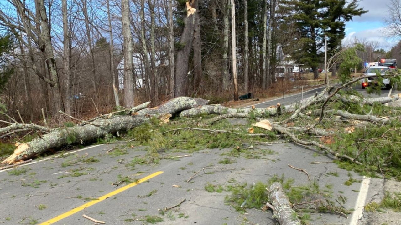 Fatal Crash Driver Dead After Striking Tree in Spring Branch