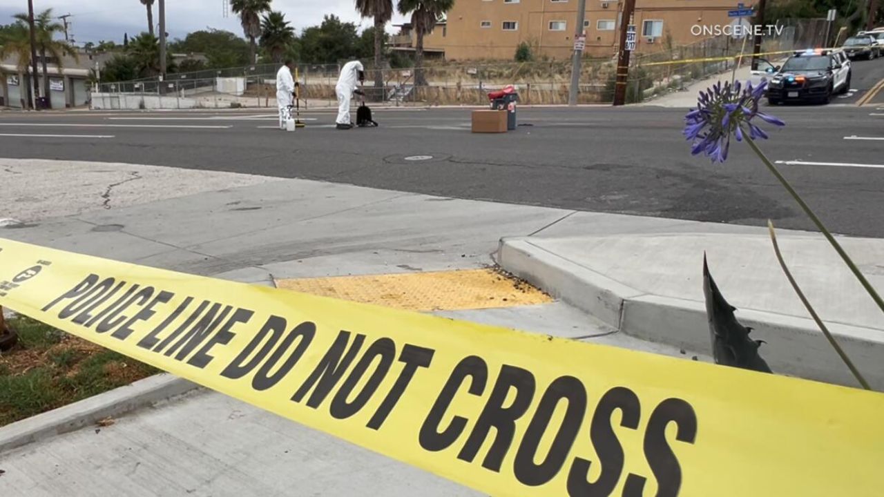 Long Beach Pedestrian Dies Months After February Hit-and-Run; Police Searching for Toyota Van