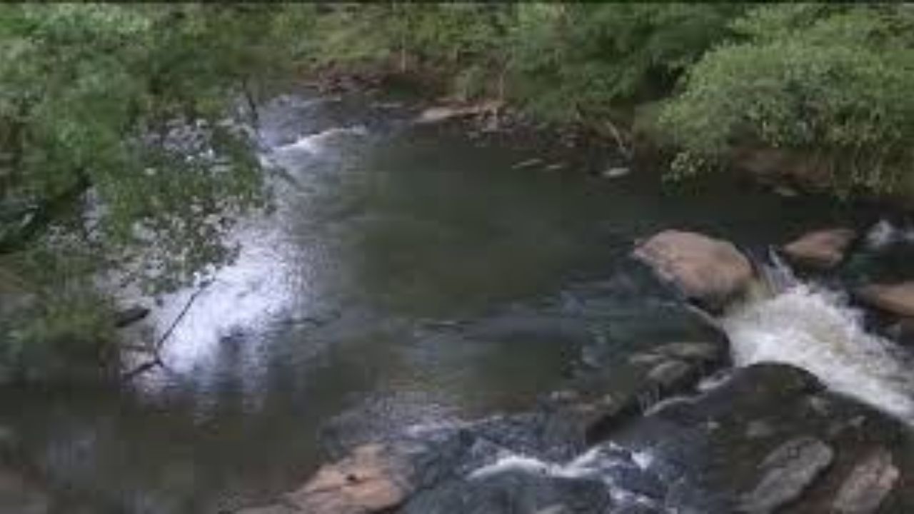 Man in Custody After Reports of Indecent Exposure at Popular Roswell Nature Refuge