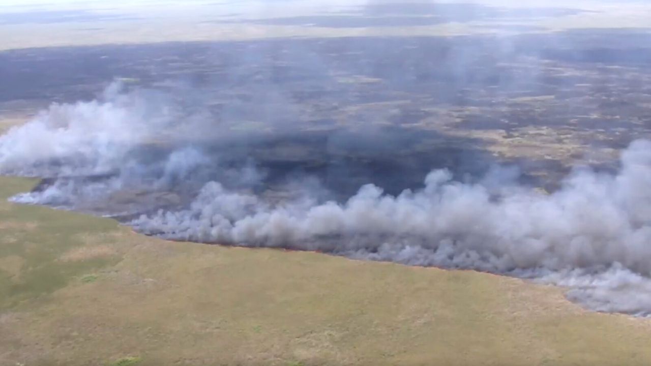 Massive Georgia Wildfires Destroy 122 Homes Balloon and Welding Sparks Identified as Unlikely Causes