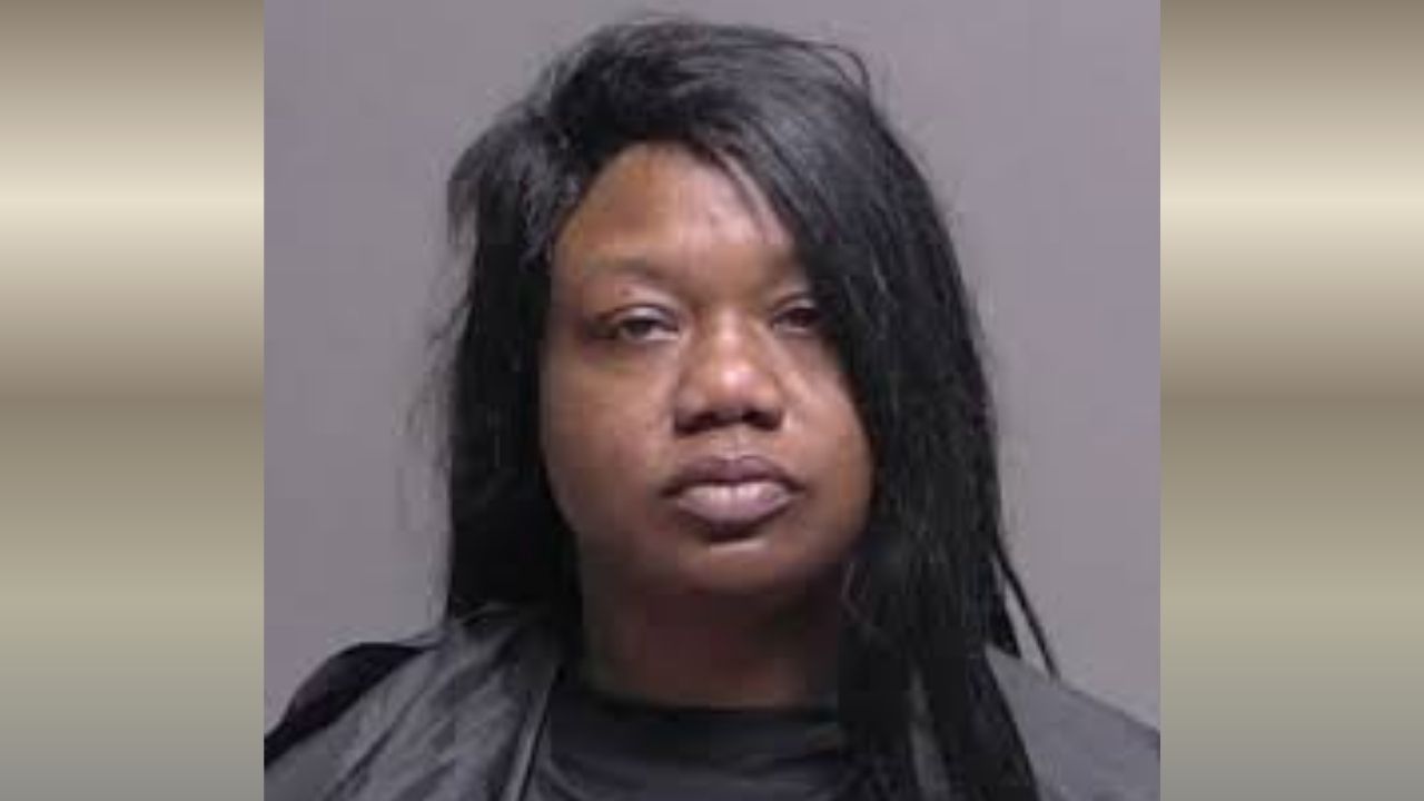 Pregnant Mother Stabbed in Broad Daylight While Walking With Toddler—Shocking Random Attack Leaves Community in Fear
