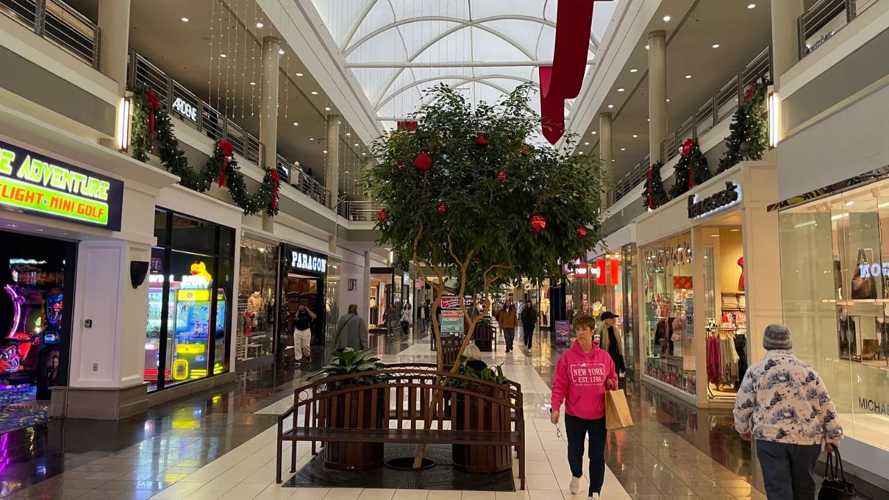 Walden Galleria Safety Crisis 100-Person Brawl and Restaurant Assault Spark Outrage in Cheektowaga