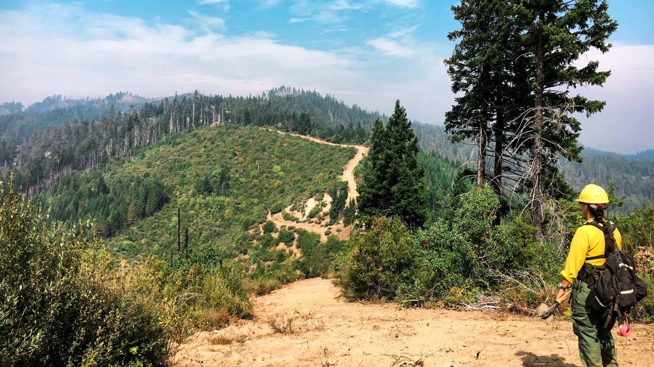 What the U.S. Forest Service Overhaul Means for Wisconsin Hunters, Hikers, and Campers