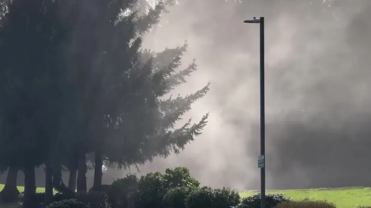 Wood County Weather Alert Foggy Morning Followed by Unusual Spring Heat; Pollen Spikes