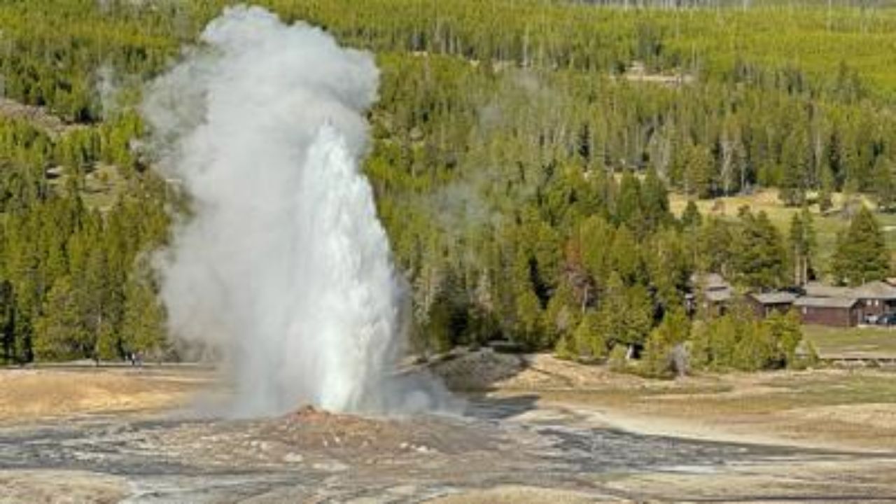 Bear Attack Near Old Faithful Injures Two Hikers
