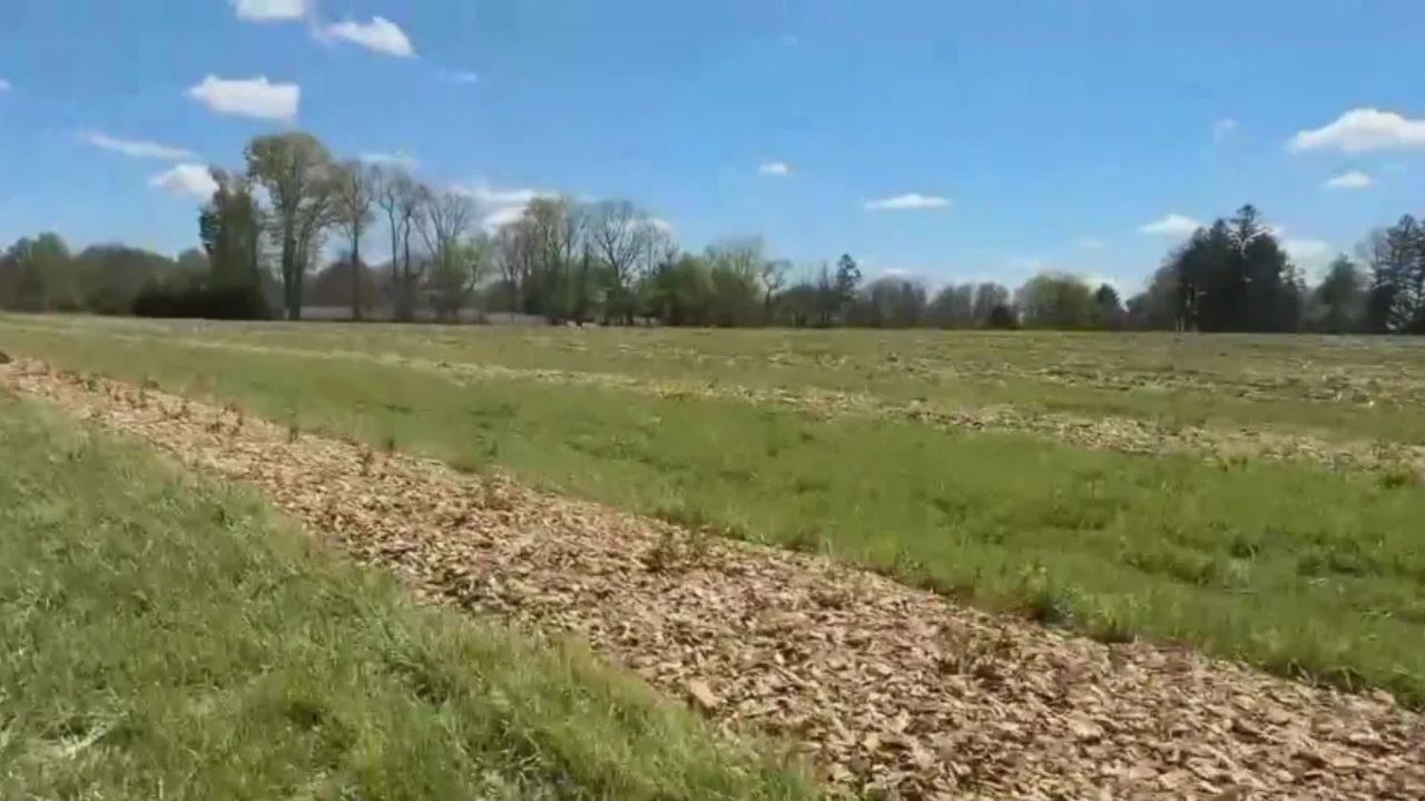 New Jersey Declares State of Emergency After Sudden Freeze Wipes Out Nearly $300 Million in Crops