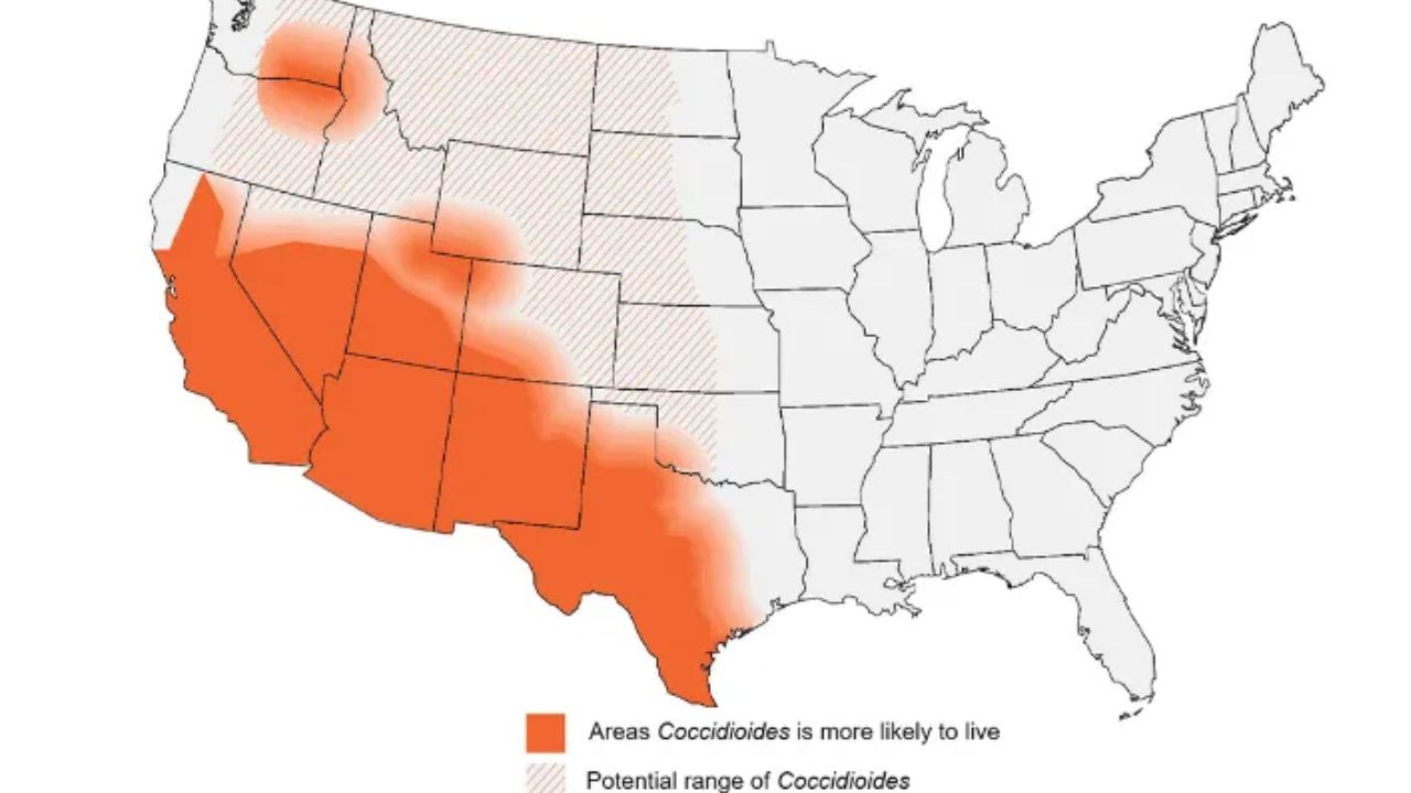 Scientists Warn America Could Soon Face Dangerous ‘Fungal Storms’ Spreading Deadly Valley Fever