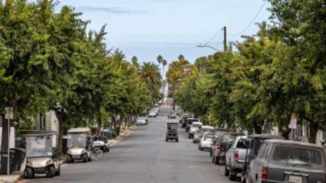 Stolen Golf Cart DUI Crash On Catalina Island Leads To Child Endangerment Arrests