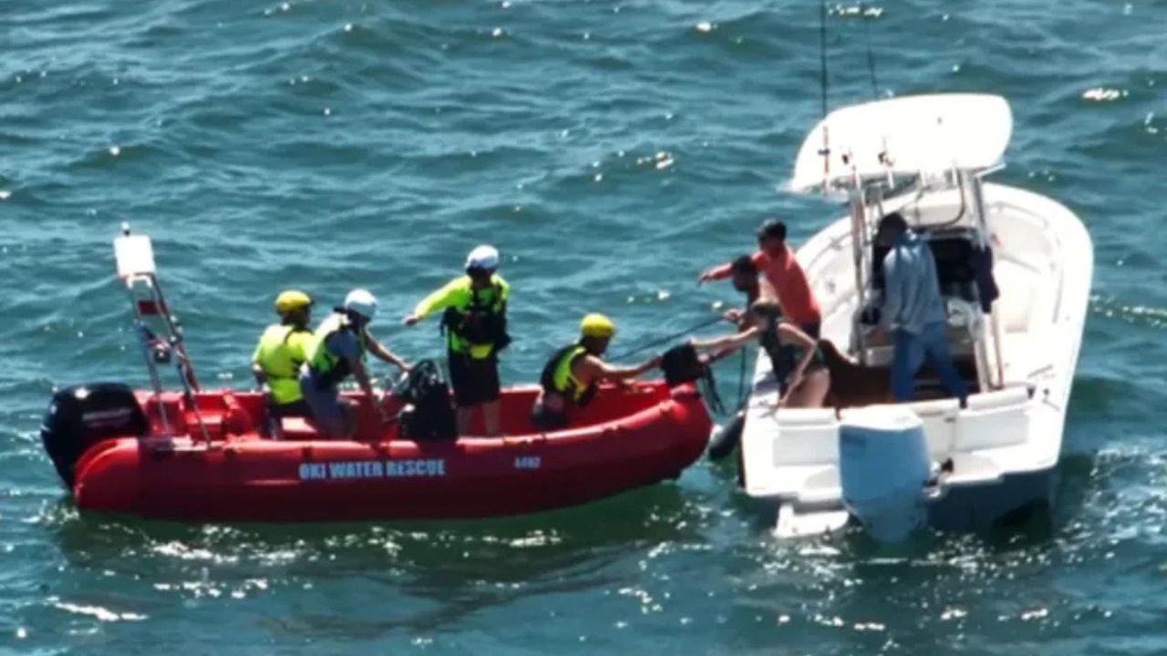 Terrifying Boat Disaster Near North Carolina Island Ends With Dramatic Rescue of 4 People and Dog