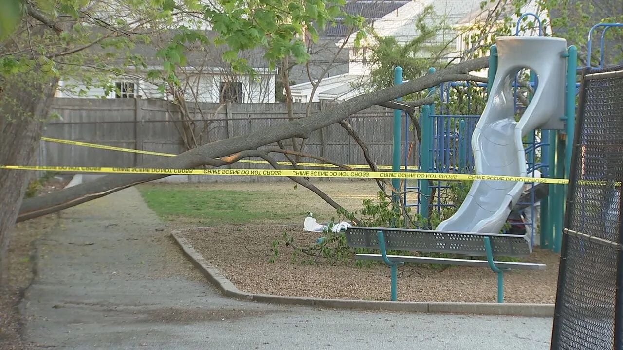 Tree Falls At Melrose School Playground Injuring Three