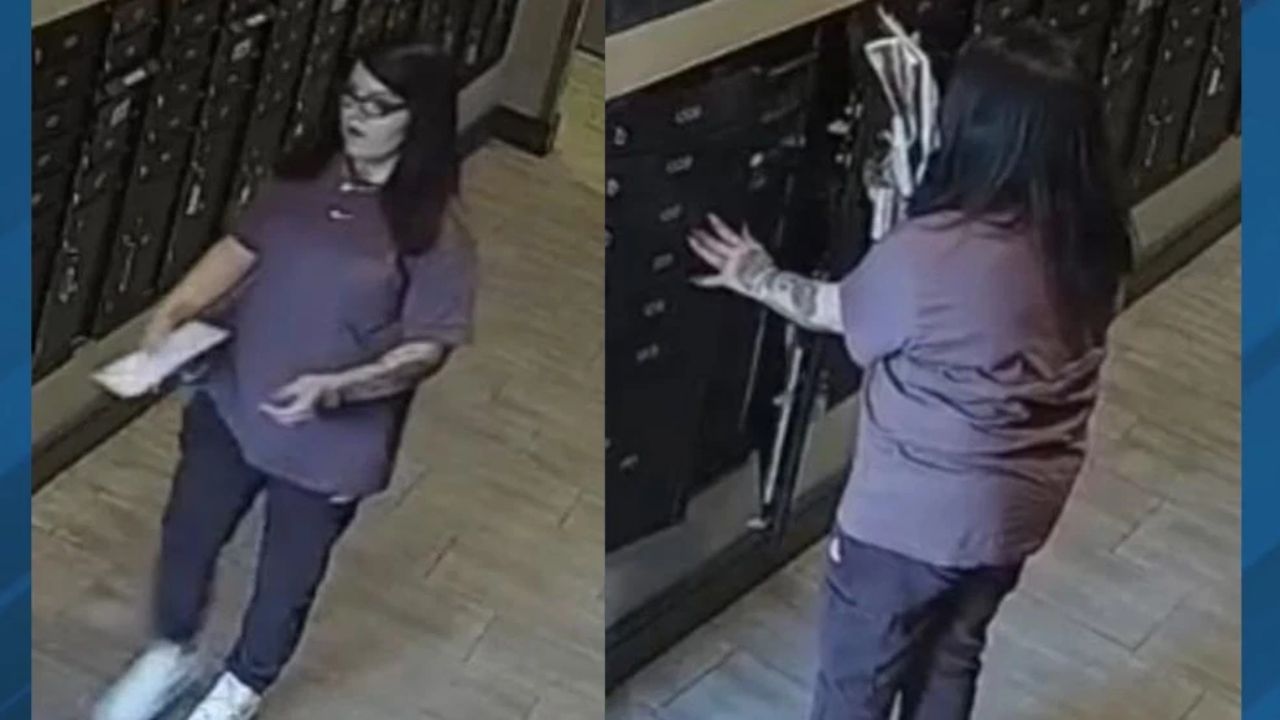Video Thief Caught Stealing Mail From Fontainebleau Apartment Complex