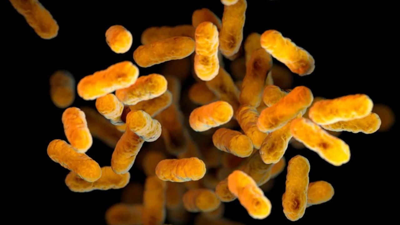 Several whooping cough cases confirmed at Pasadena middle school