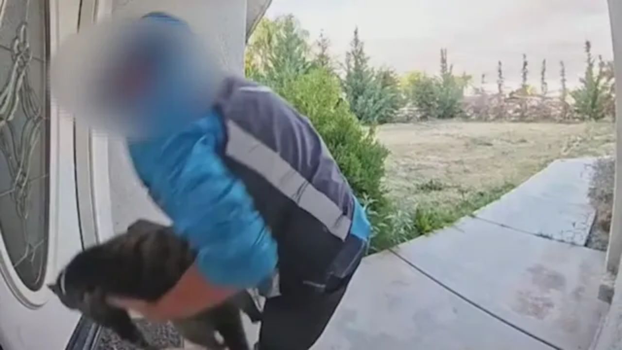 Amazon Driver Claims Stolen Bakersfield Cat Was His Missing Pet