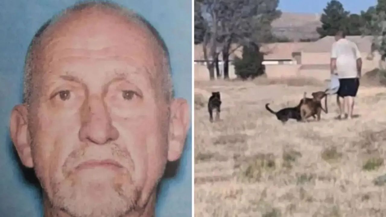 California City Police Search For Man After Boy Drowns Fleeing Dog Attack