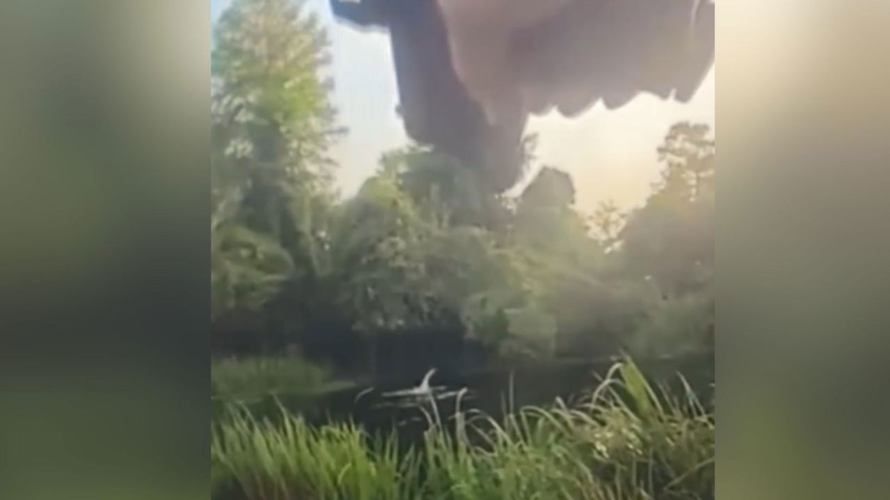 DWI Suspect Attacked By Alligator While Fleeing From Police