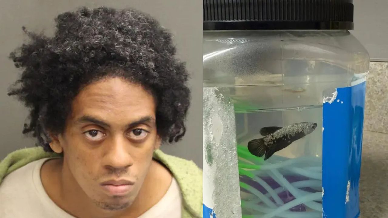 Florida Man Arrested Outside Taco Bell After Allegedly Exposing Himself While Carrying Pet Fish