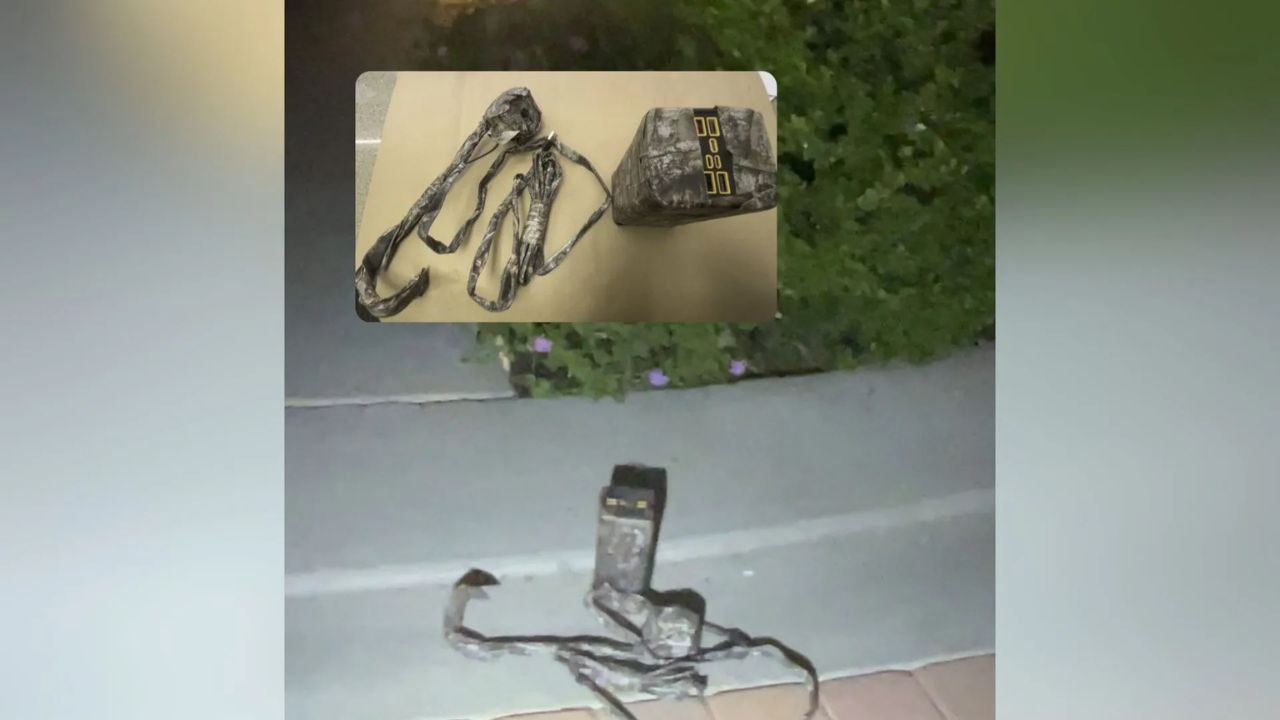 Hidden Surveillance Camera Found Disguised In Brea Landscaping
