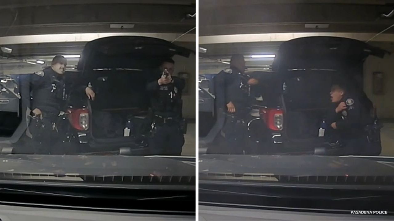 K-9 Deployed To End Dramatic Westminster Standoff