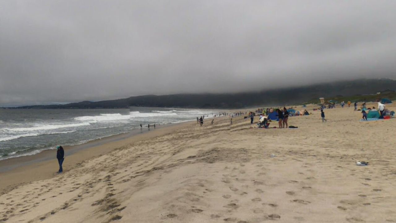 Lifeguard Runs Over Sunbather At Francis Beach