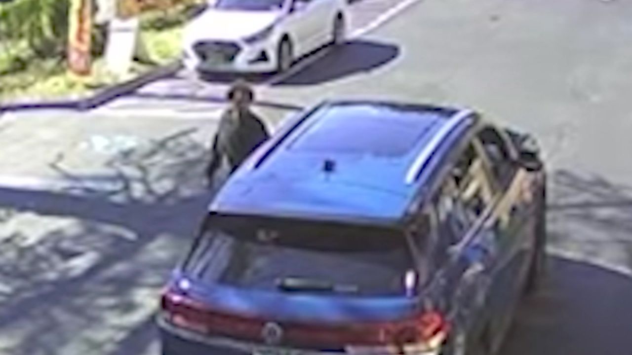 Long Island Homeowner Nearly Stabbed After Approaching Parked Car