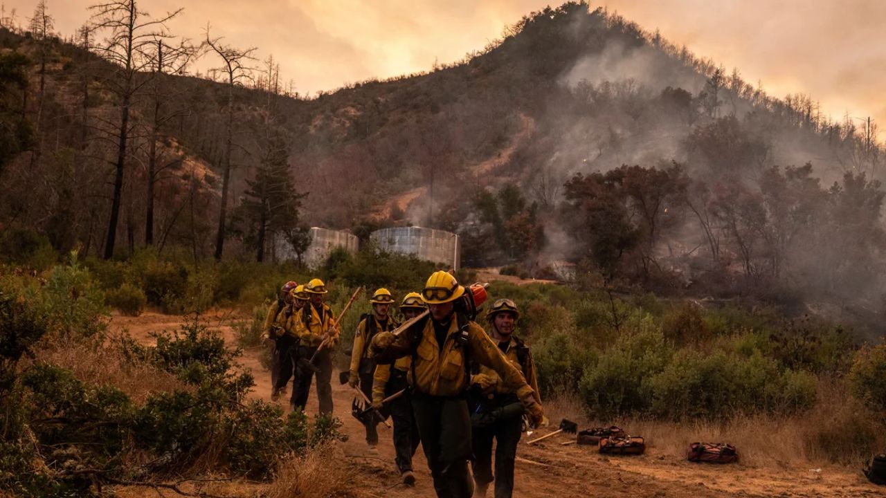 Putah Fire Explodes To 362 Acres Near Northern California Wine Country