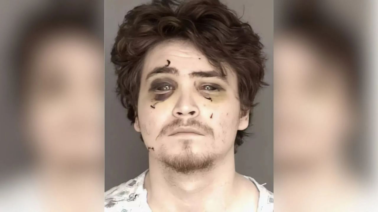 San Diego Father Faces 110 Years For Trafficking Mushrooms Using Young Sons