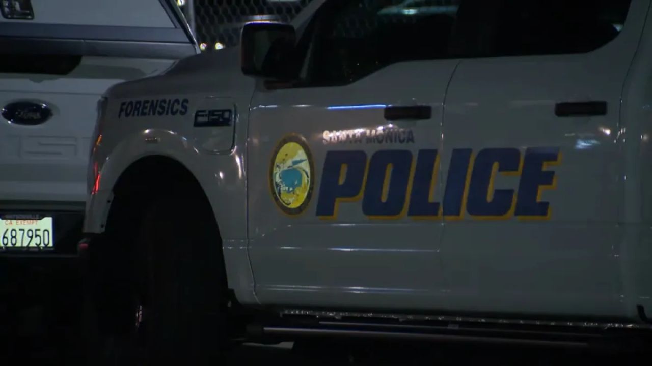 Shopper Uses Tracking Feature To Recover Stolen Purse In Santa Monica