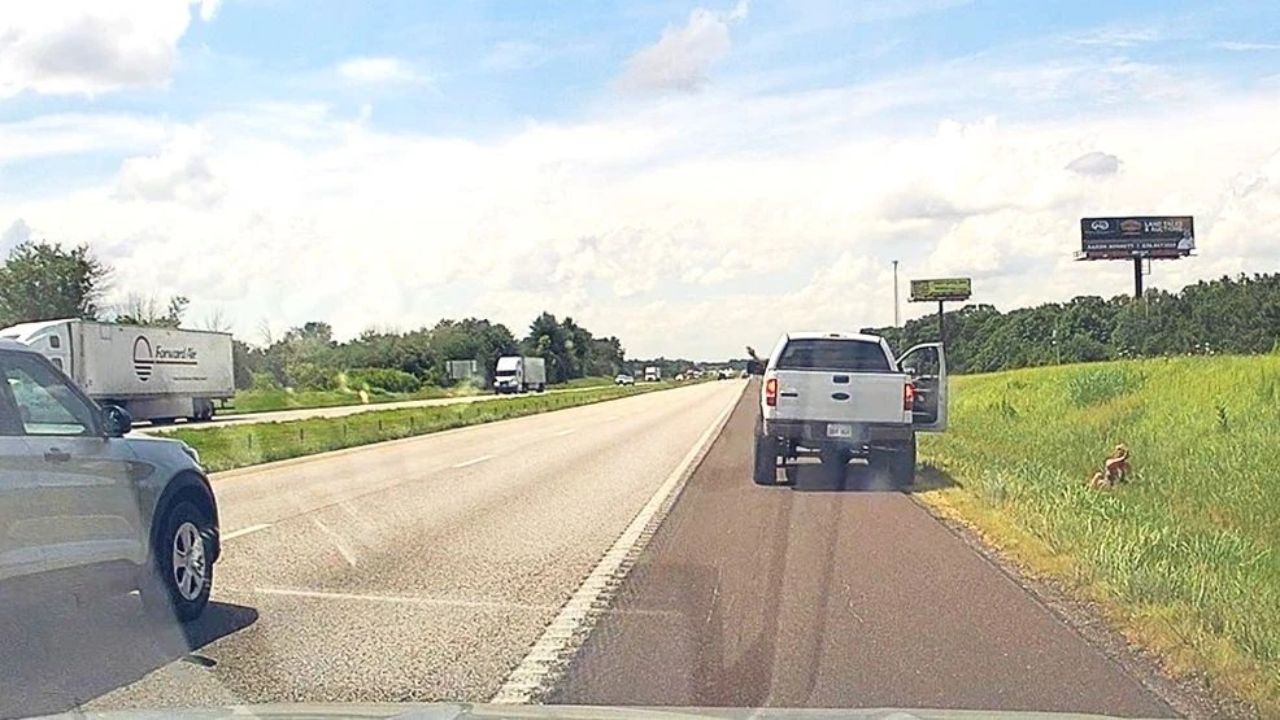 Stolen Vehicle Suspect Arrested After Multi-County Freeway Pursuit