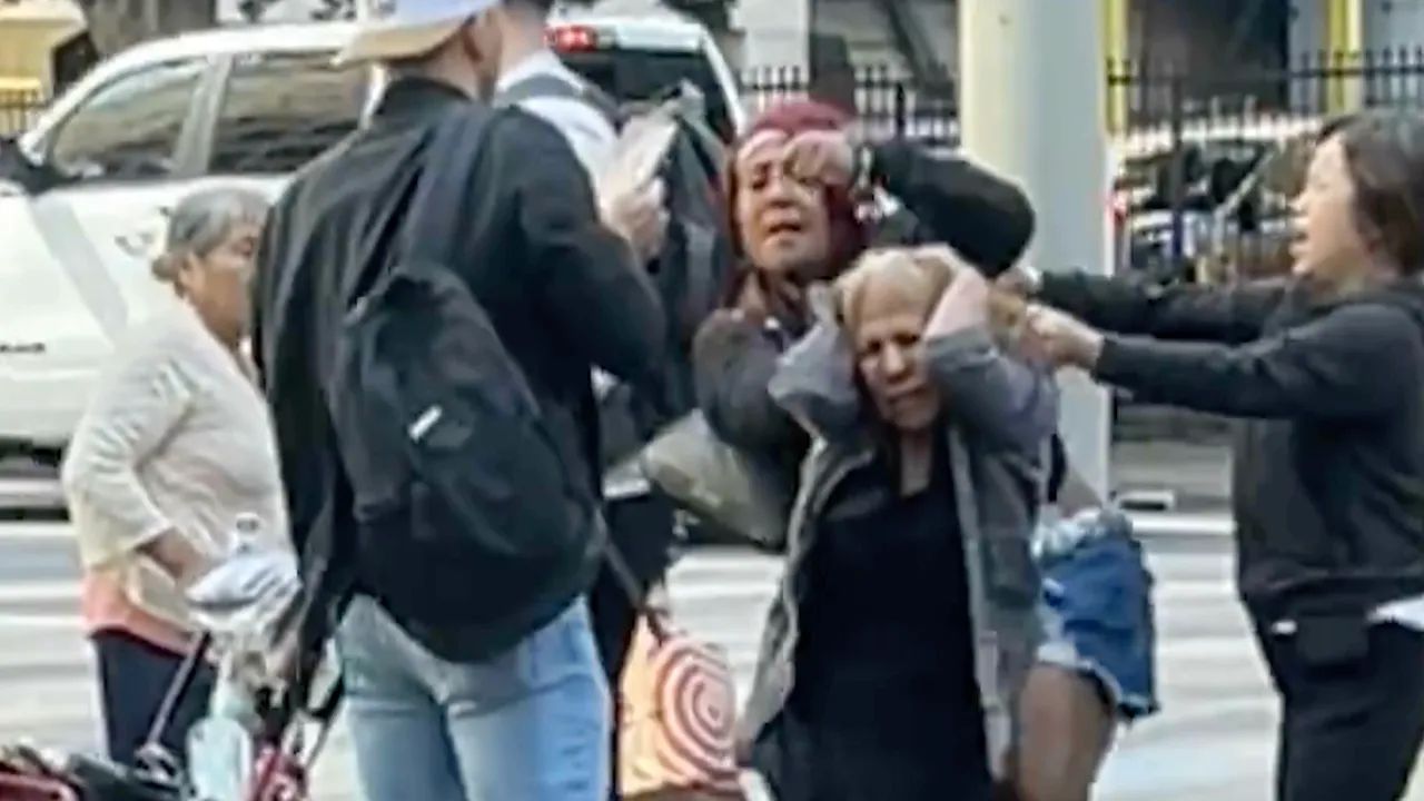 Teen Arrested In Brutal Assault Of Elderly Los Angeles Street Vendor