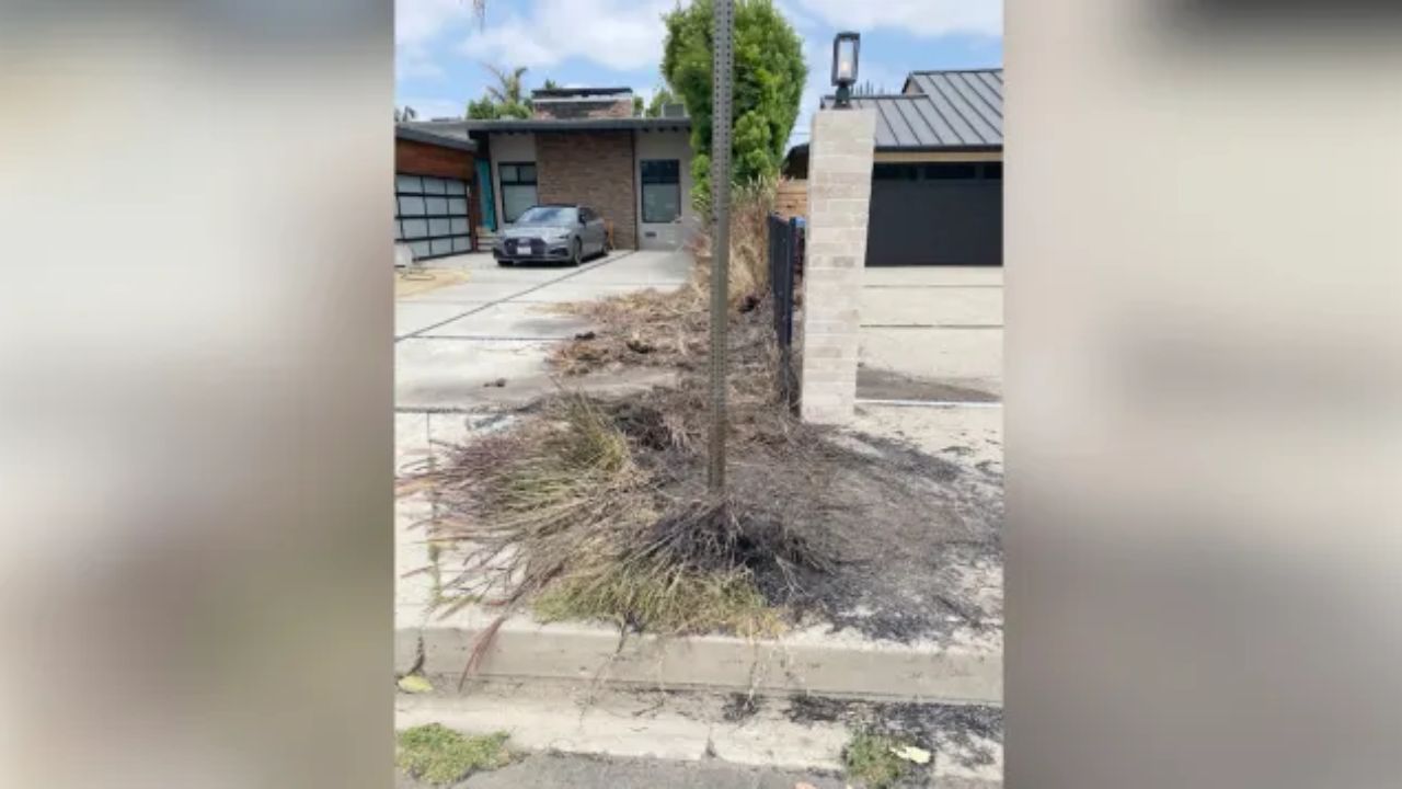 Teenager Saves Sherman Oaks Home From Middle-Of-Night Brush Fire