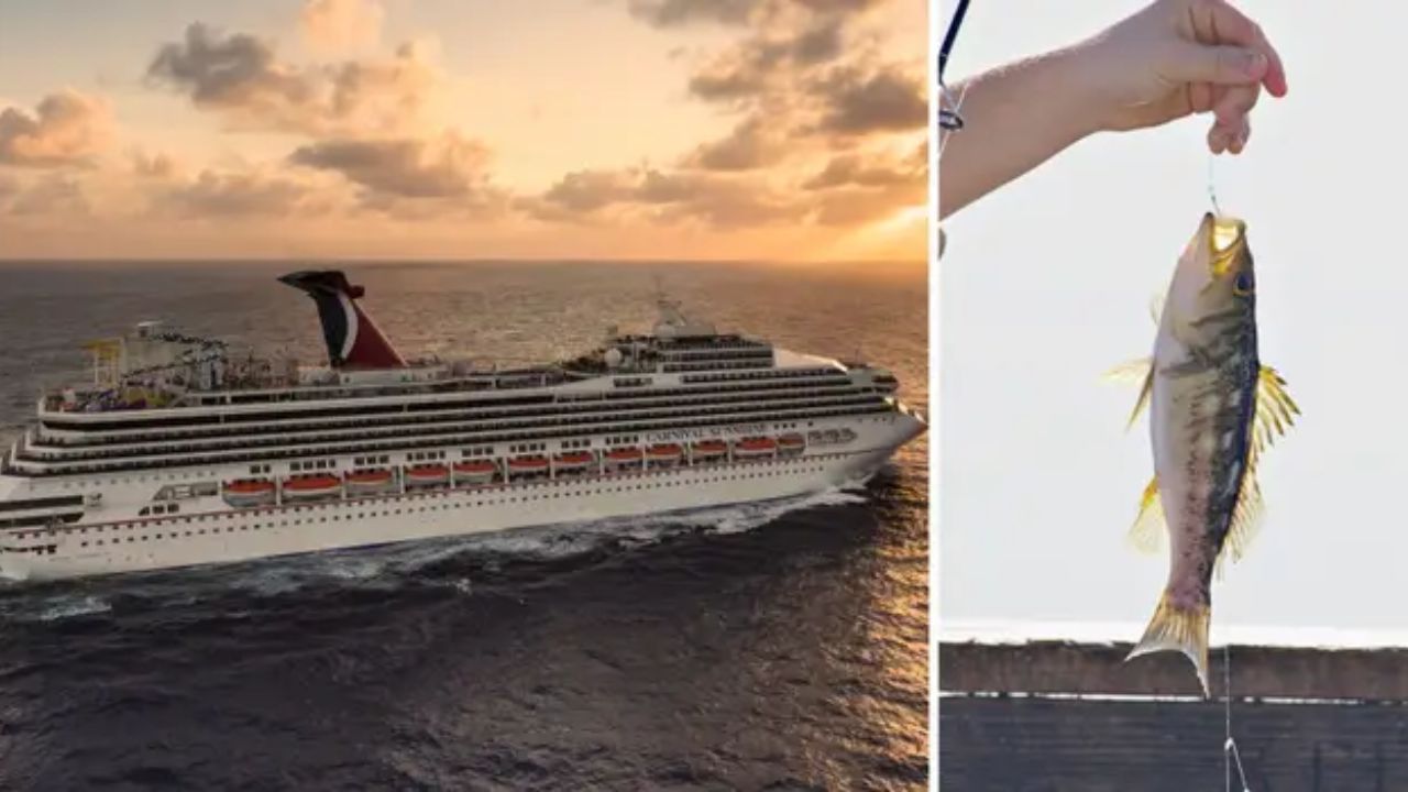TikTok Influencer Banned For Life By Carnival Cruise Line