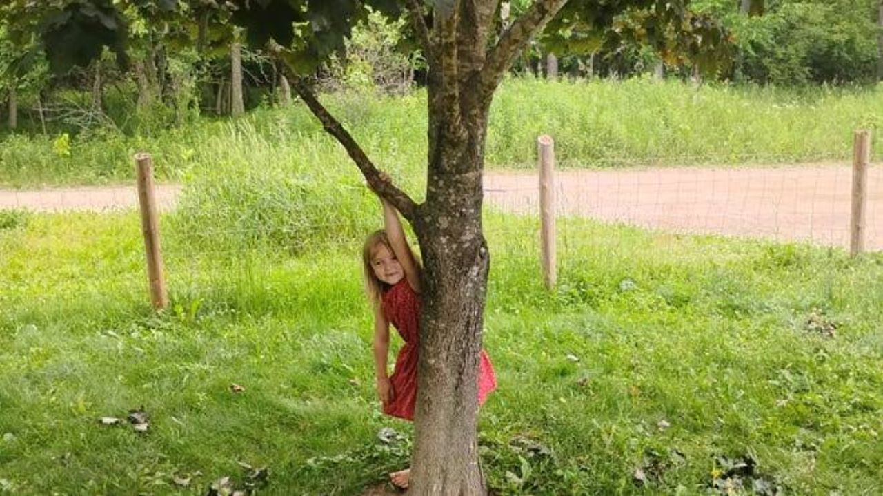 6-Year-Old Girl Bitten By Rabid Bat Outside Wisconsin Home
