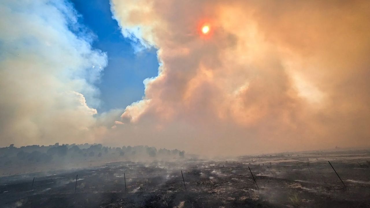 Aspen Acres Fire Forces 11,000 To Evacuate Colorado Communities