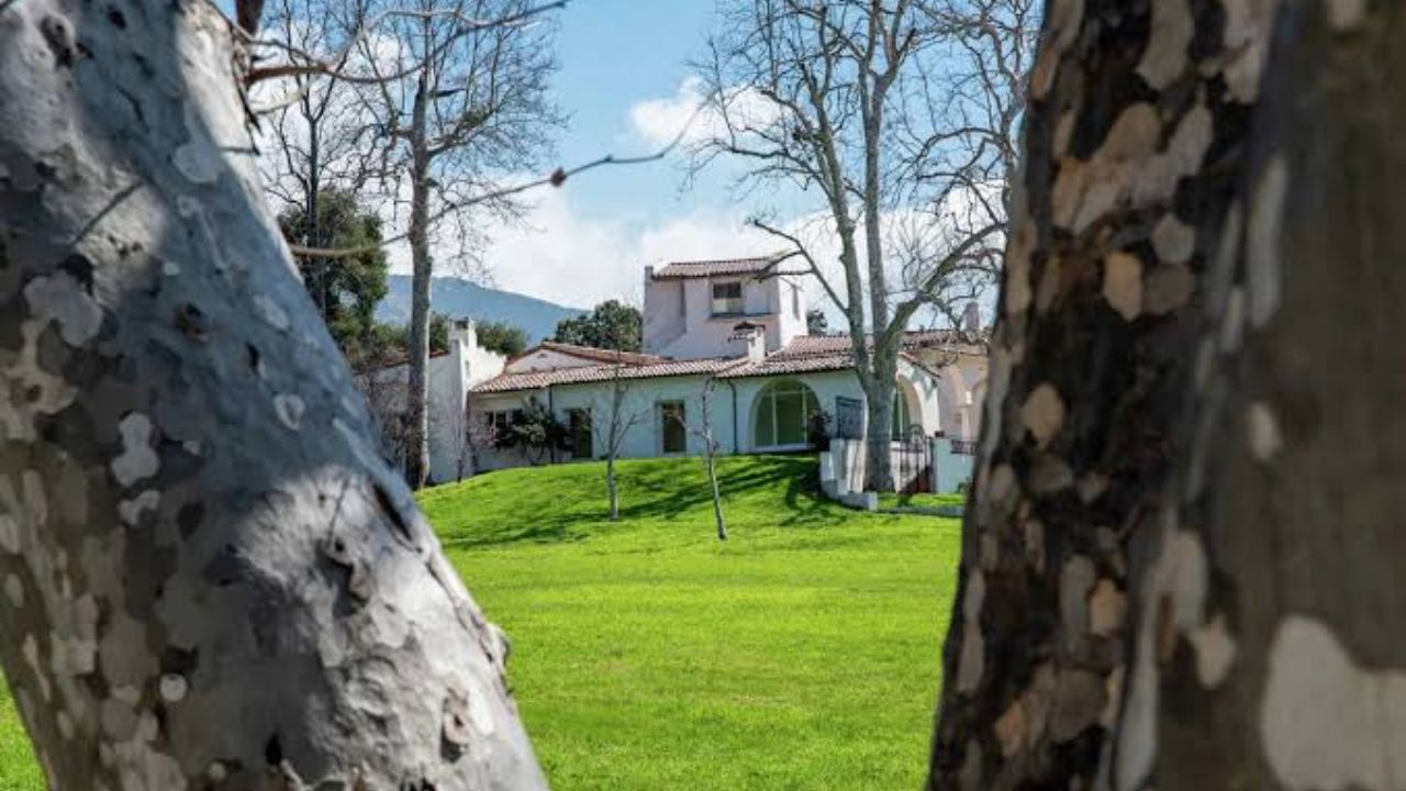 Calabasas Park Tree Tragedy Family To Receive $14M Settlement